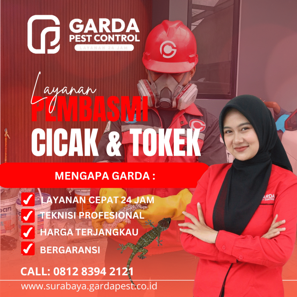 Jasa Pembasmi Tokek Surabaya – Solusi Tepat Bersama Garda Pest Control