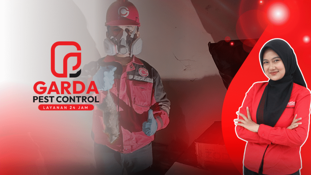 Jasa Pembasmi Tikus di Surabaya