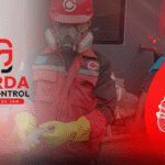 Pest Control Pembasmi Tokek