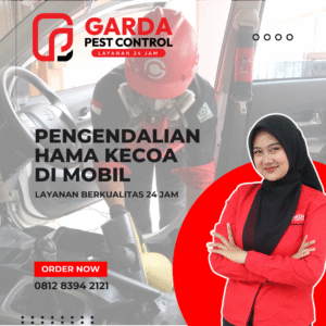 Jasa Pembasmi Kecoa Kecil di Mobil Area Surabaya