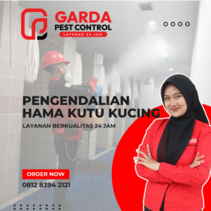 Ahli Basmi Kutu Kucing di Surabaya
