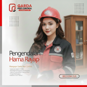 Jasa Anti Rayap Terdekat di Surabaya