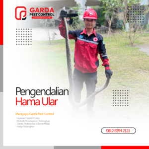 Jasa Pawang Ular Terdekat Pembasmi Ular Profesional di Surabaya