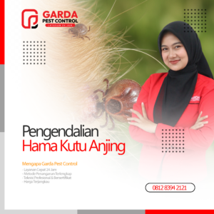 Jasa Pembasmi Caplak Kutu Anjing Terdekat di Surabaya Garda Pest Control