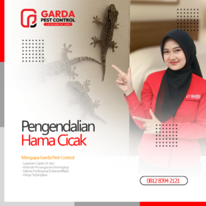 Jasa Pembasmi Cicak Terdekat di Surabaya Harga Murah