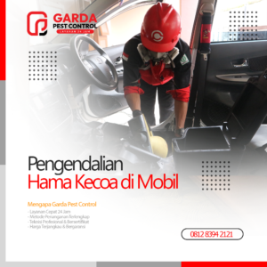 Jasa Pembasmi Kecoa Mobil Surabaya Cepat dan Handal