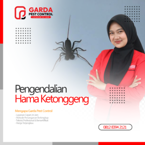 Jasa Pembasmi Ketonggeng Terdekat di Surabaya Garda Pest Control