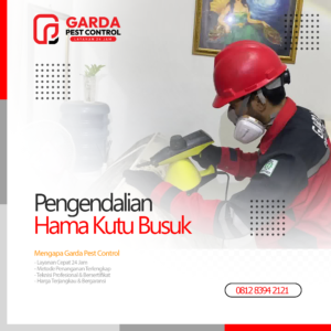 Jasa Pembasmi Kutu Kasur Terdekat & Terbaik di Surabaya