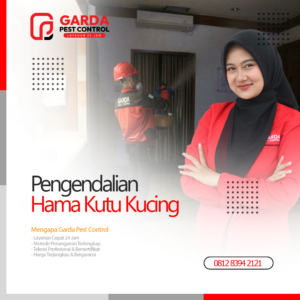 Jasa Pembasmi Kutu Kucing Terdekat di Surabaya Bergaransi