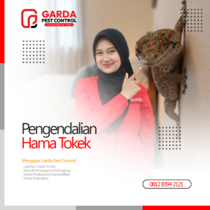 Jasa Pembasmi Tokek Terdekat di Surabaya Panggilan 24 Jam