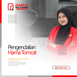 Jasa Pembasmi Tomcat Terdekat di Surabaya Garda Pest Control