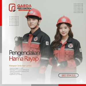 Layanan Jasa Basmi Rayap Terbaik di Surabaya