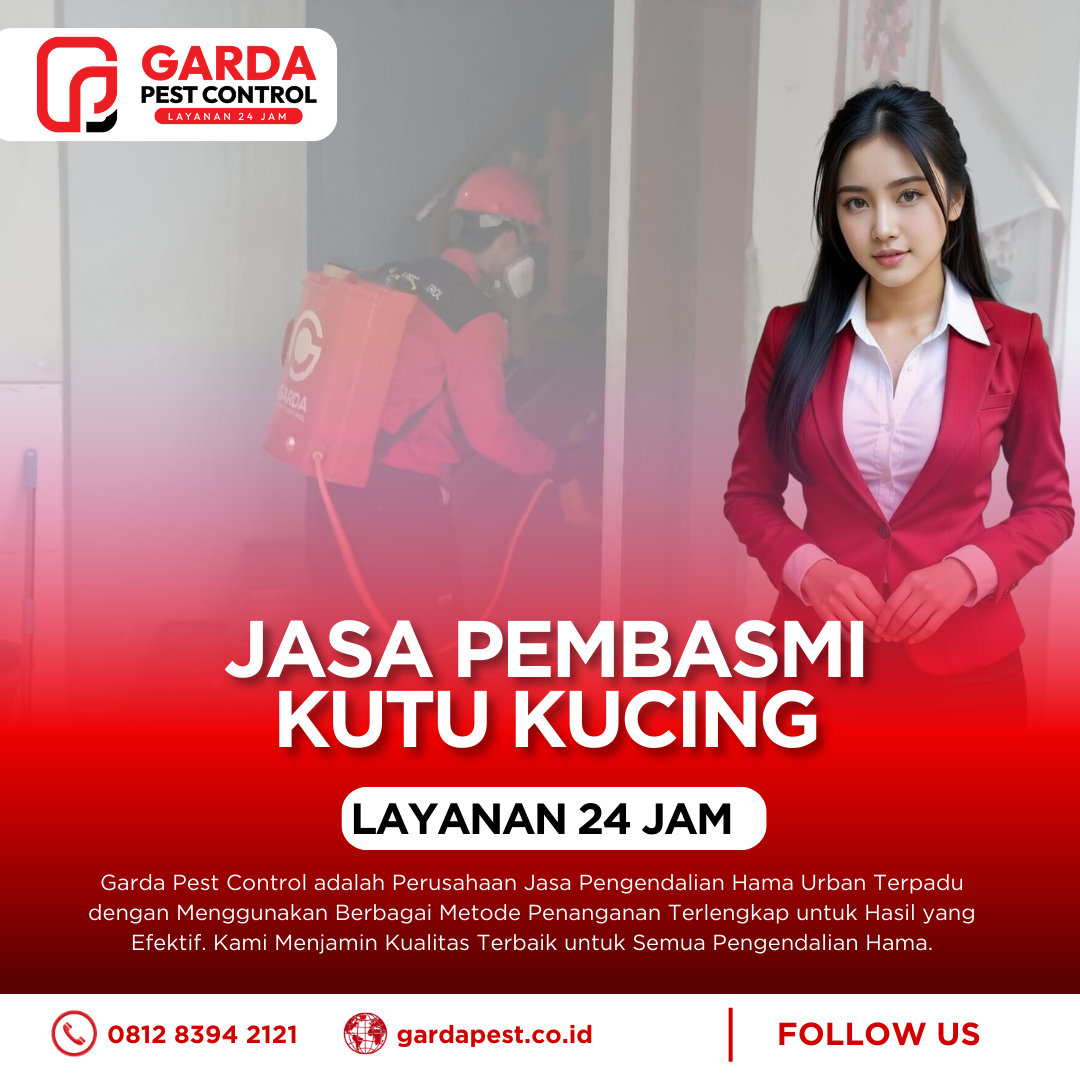 Jasa Pembasmi Kutu Kucing Terdekat di Surabaya