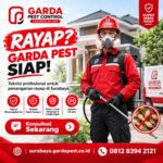 Jasa Anti Rayap di Sukolilo Surabaya Cegah Kerusakan Rumah Anda