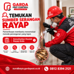 Jasa Anti Rayap di Gubeng Surabaya Ampuh Membasmi Hingga Tuntas