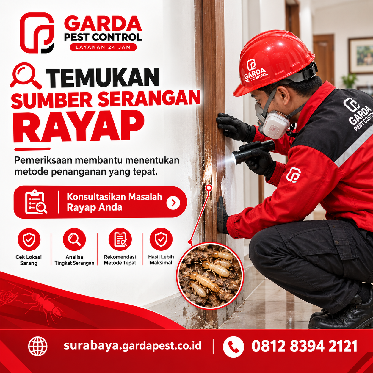 Jasa Anti Rayap di Gubeng Surabaya Ampuh Membasmi Hingga Tuntas