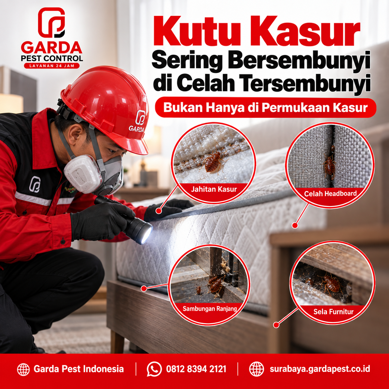 Jasa Basmi Kutu Busuk Terdekat di Surabaya