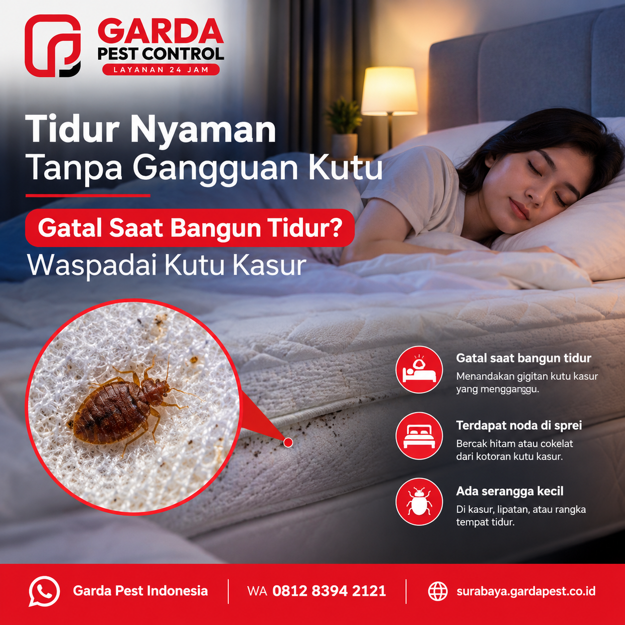 Biaya Pembersihan Sarang Tawon Surabaya dan Layanan Garda Pest Control